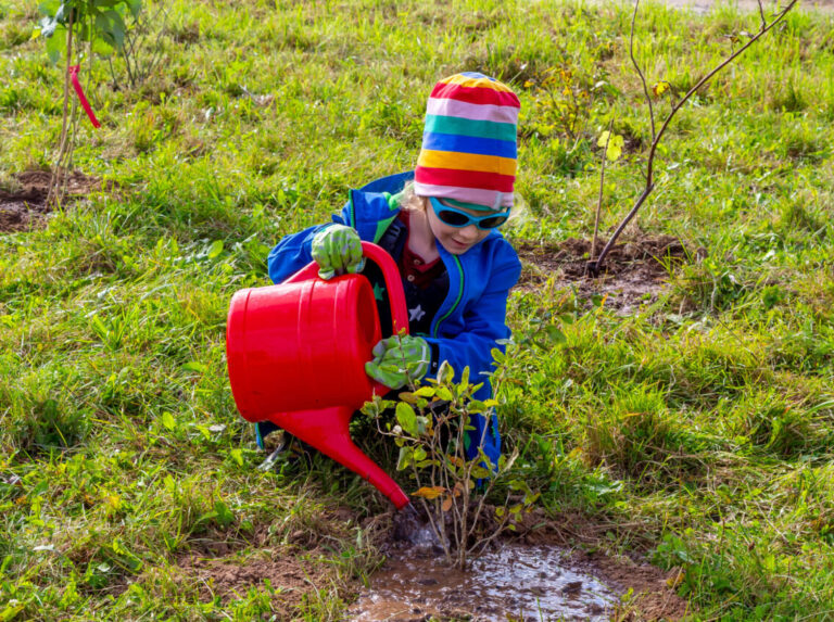 Jubiläumsbäume zur 750 Jahrfeier